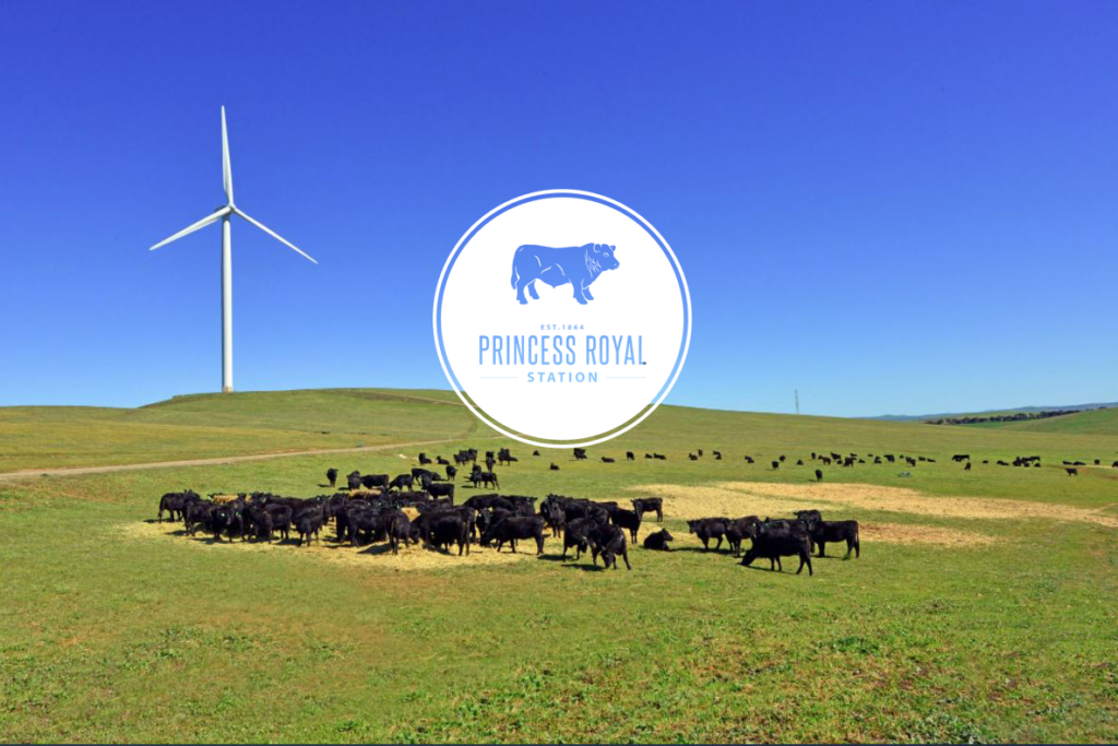Princess Royal Feedlot and Hydrosmart Trial Collaboration