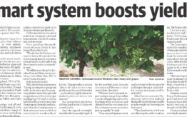 Smart system boosts yields