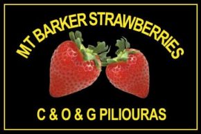 Mt. Barker Strawberries